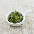 Rempah -rempah sayur -sayuran kering dan batang cilantro premium
